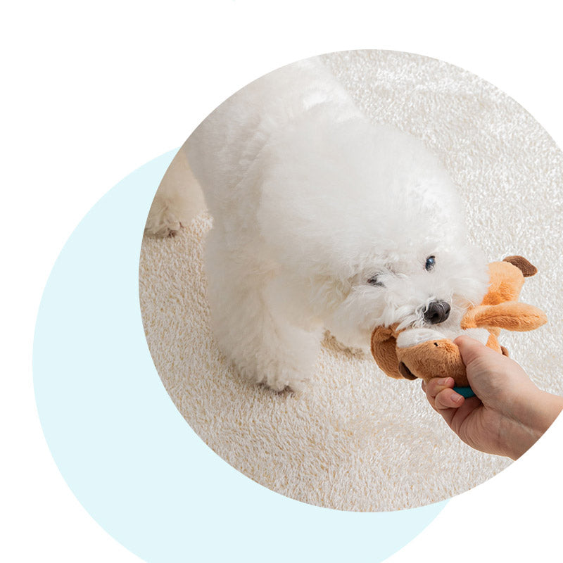 Sea Otter Dog Toy