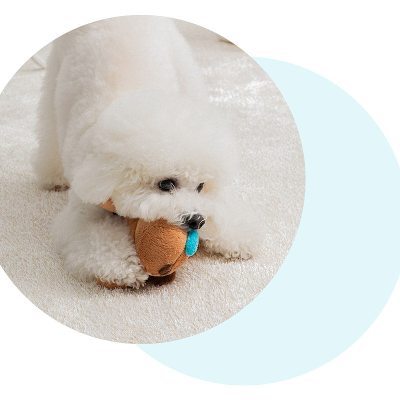 Sea Otter Dog Toy
