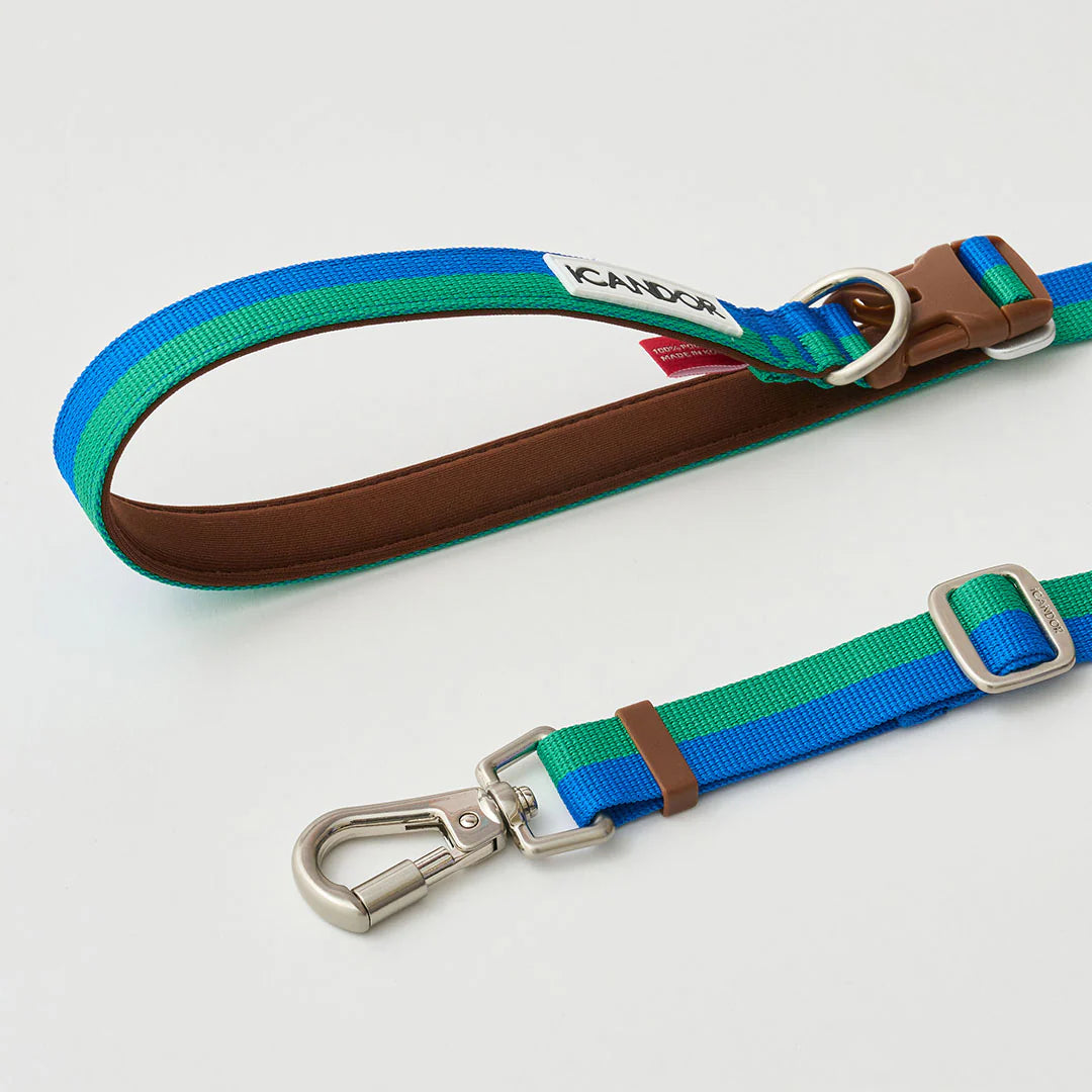 Gentle Adjustable Bolt Leash – Regular & Hands-Free Walk | Forest