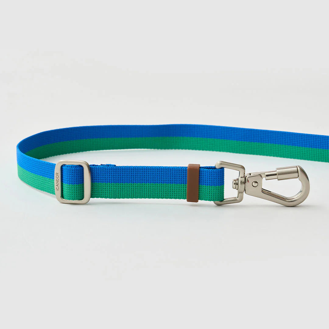 Gentle Adjustable Bolt Leash – Regular & Hands-Free Walk | Forest