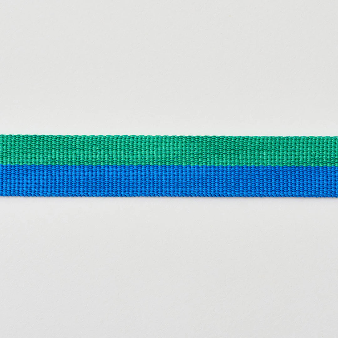 Gentle Adjustable Bolt Leash – Regular & Hands-Free Walk | Forest