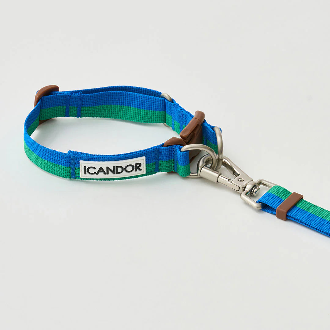 Gentle Adjustable Bolt Leash – Regular & Hands-Free Walk | Forest