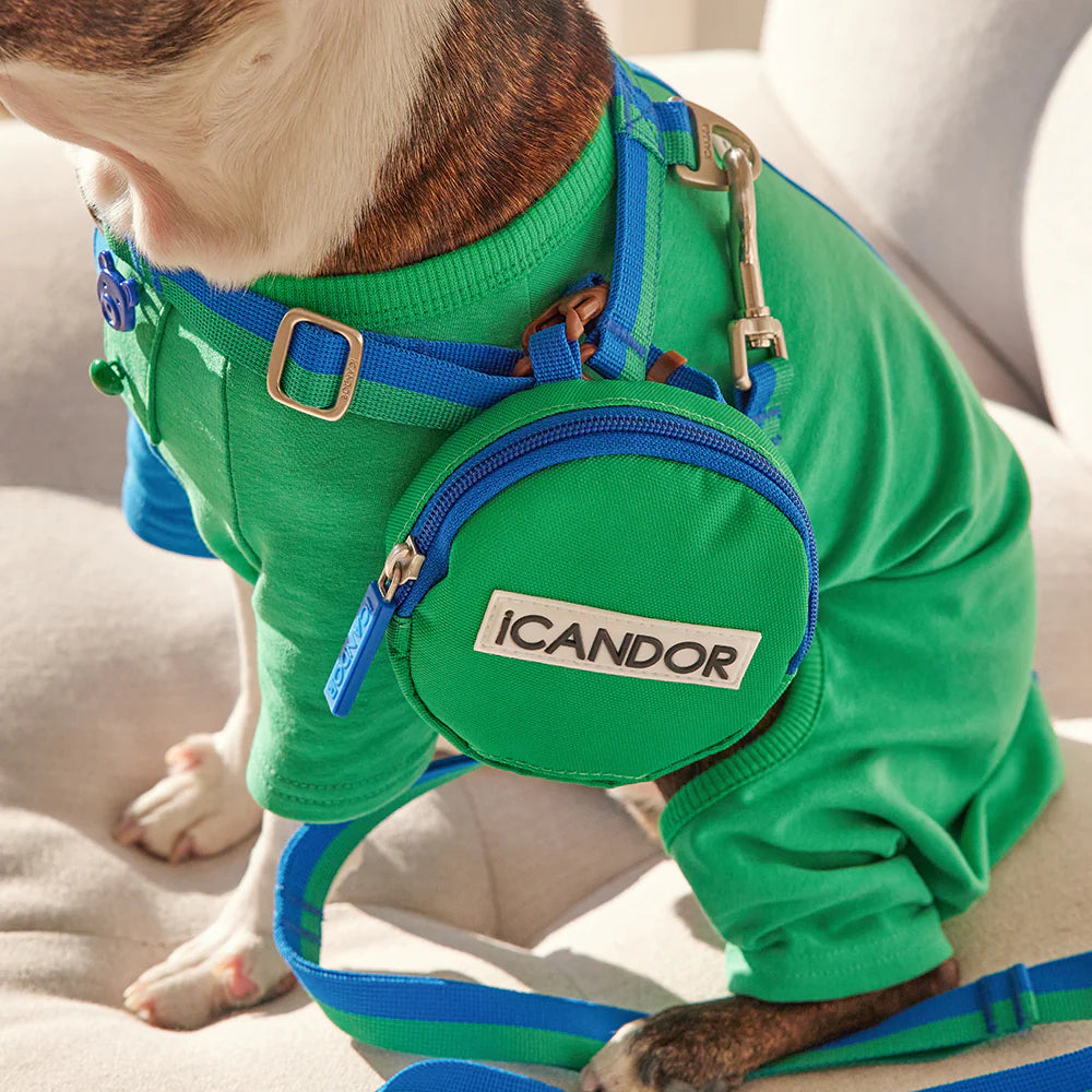 Dingle Dangle Poop Bag Carrier | Forest