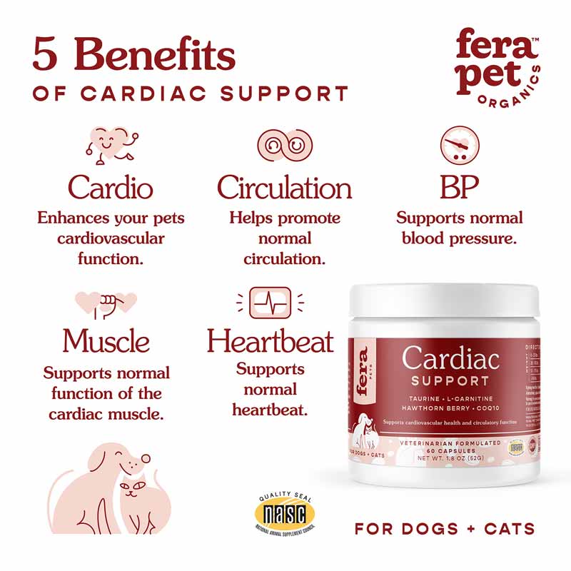 Fera Pets Senior Bundle | Save 5%