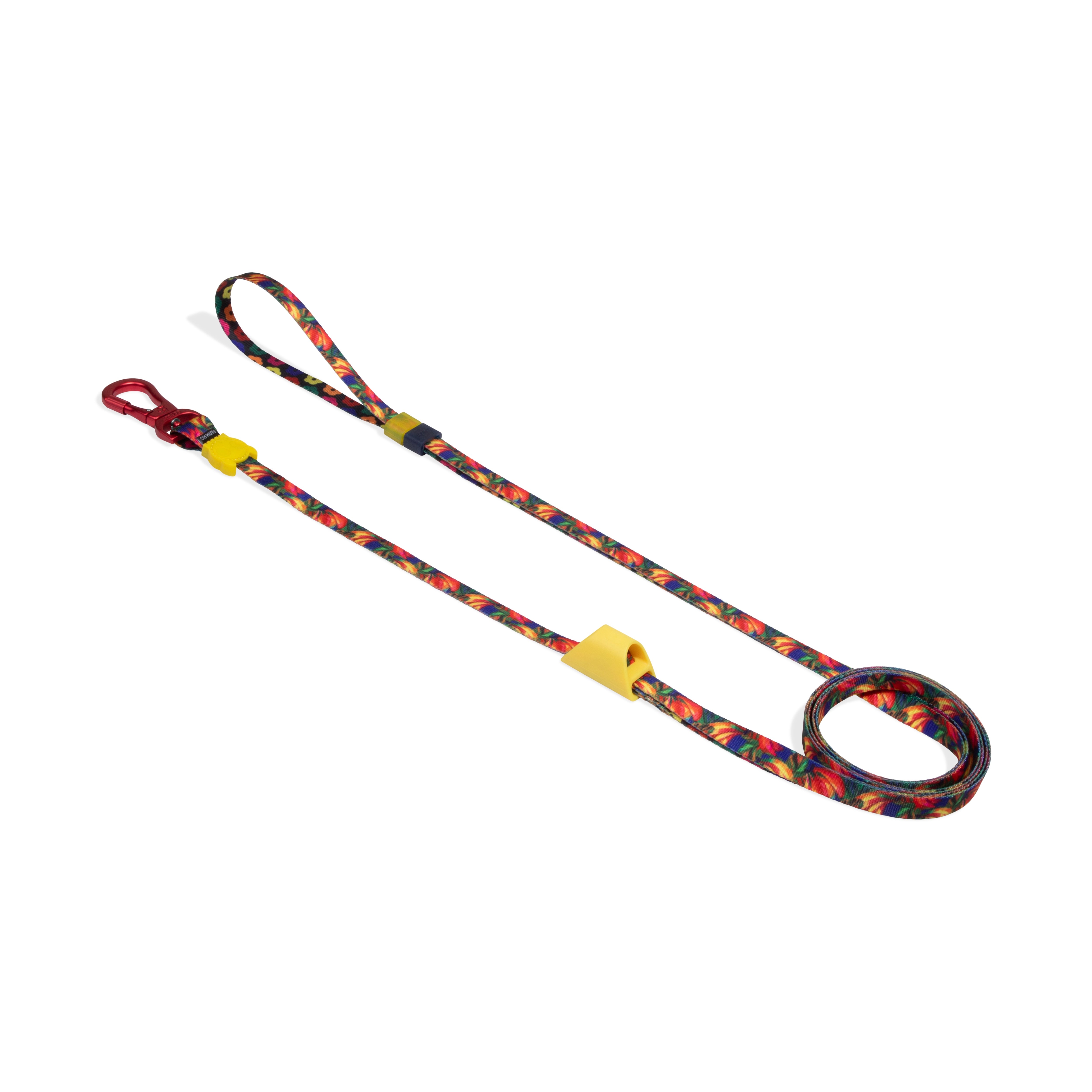 Farm Rio x Zee.Dog Samba Long Dog Leash