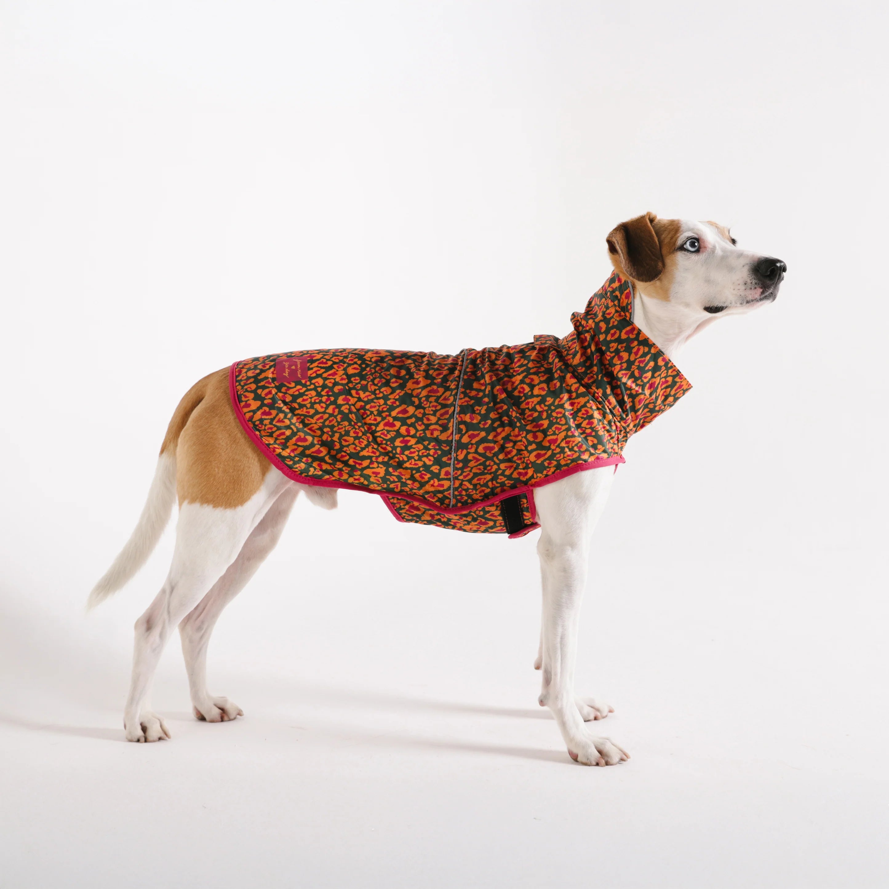 Farm Rio x Zee.Dog Selva Raincoat