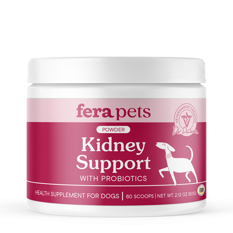 Kidney Support for Dogs