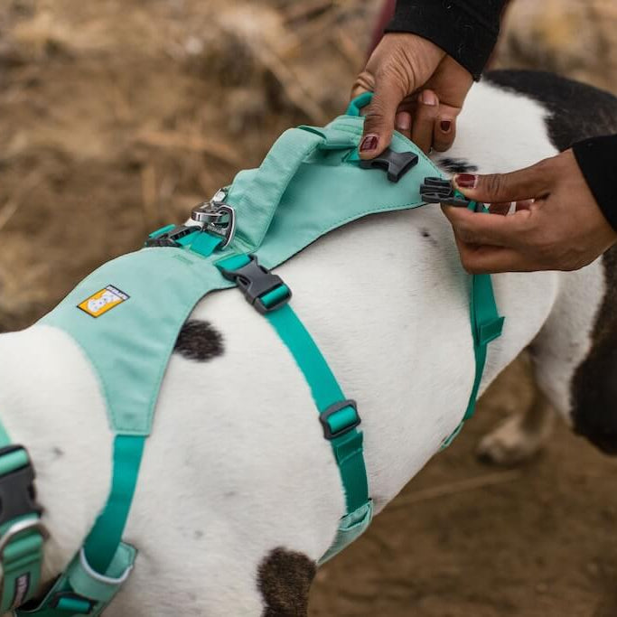 Flagline™ Lightweight & Multi-Use Dog Harness with Handle (4 Colours)