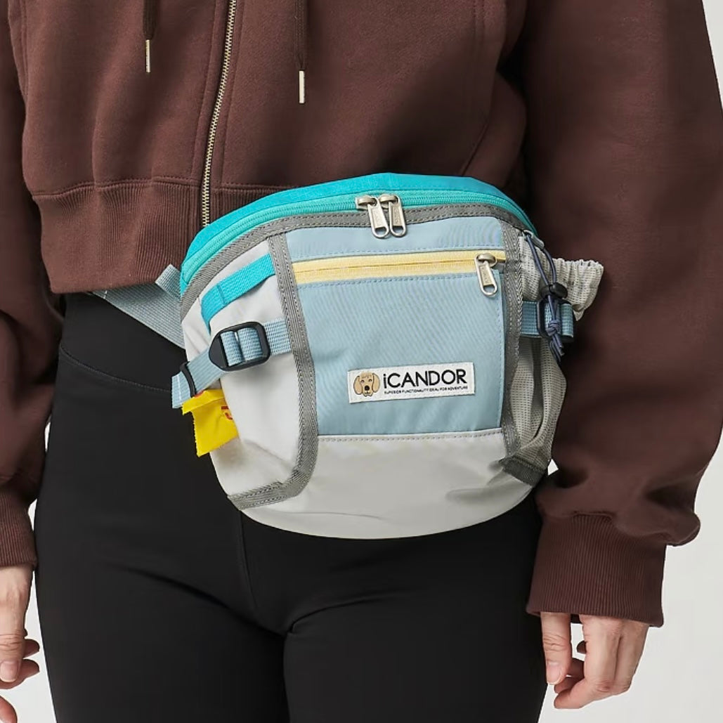 Urban Explorer Walking Bag | Ice Gray