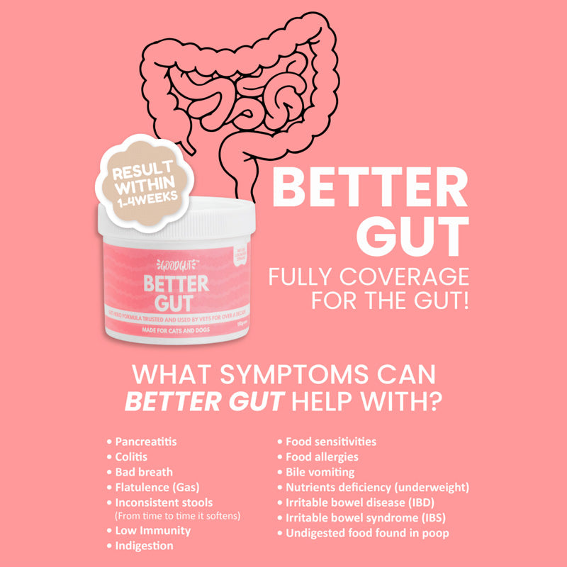 Good Gut Better Gut For Dog and Cat (150g)