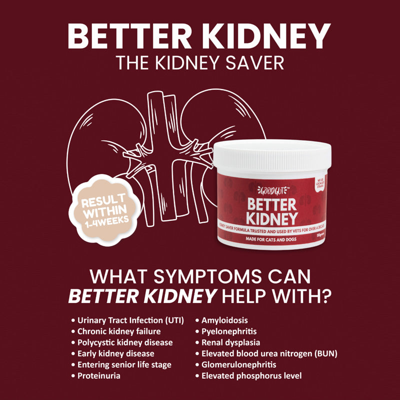 Good Gut Better Kidney For Dog and Cat (150g)