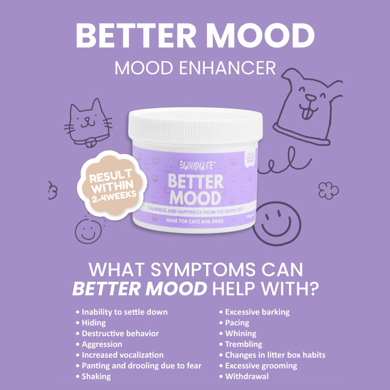 Good Gut Better Mood For Dog and Cat (150g)