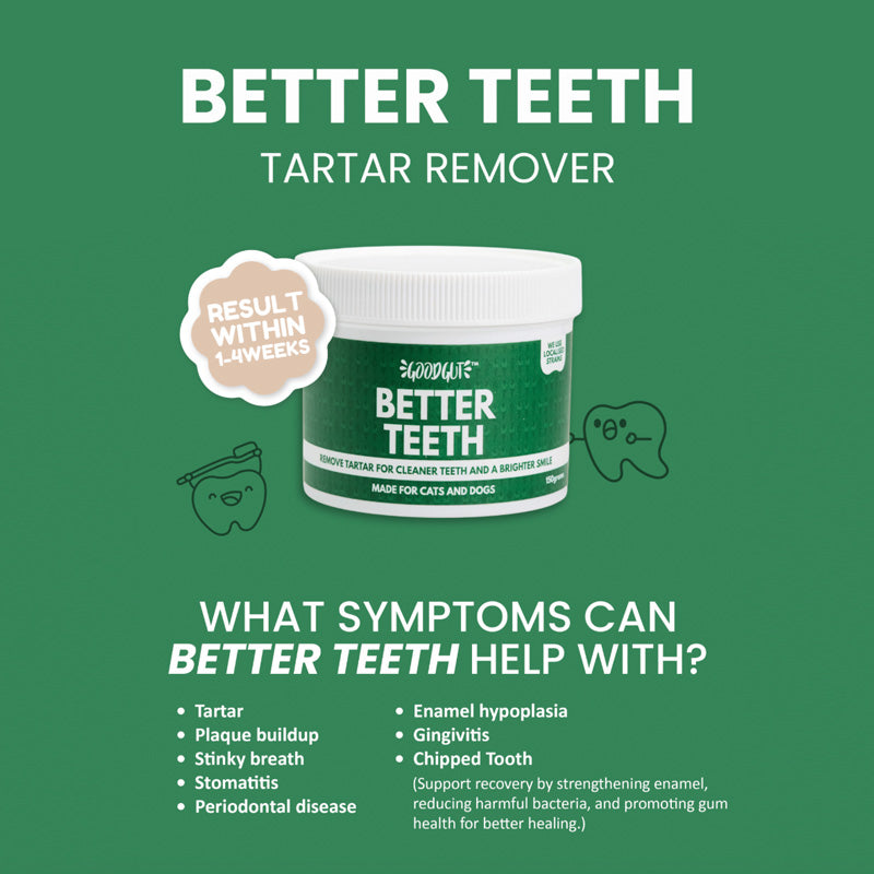 Good Gut Better Teeth For Dog and Cat (150g)