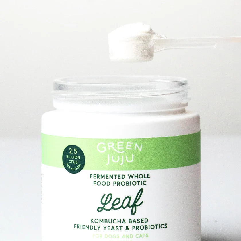 Leaf | Fermented, Kombucha-Based Probiotic