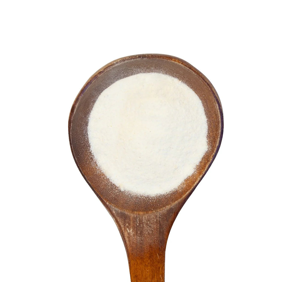 Healthy Gut | Digestive Enzyme (2 Sizes)