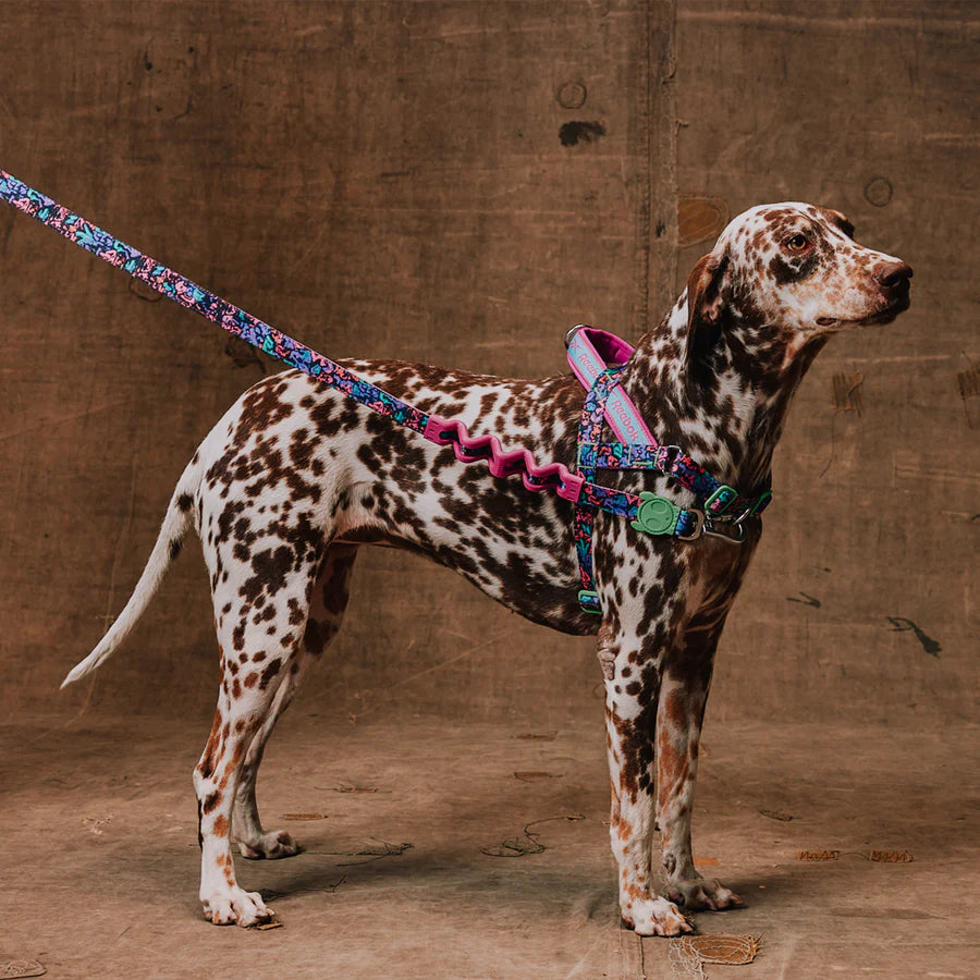 Reebok x Zee.Dog Aerobic Softer Walk Dog Harness