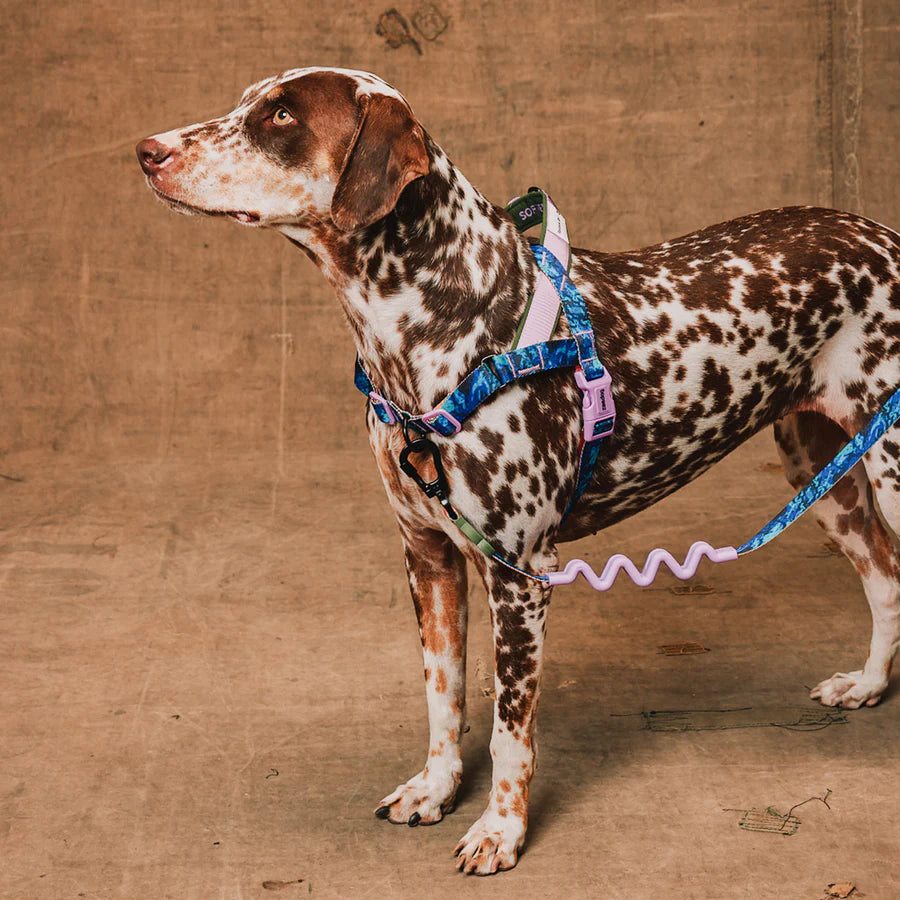Reebok x Zee.Dog Trekk Softer Walk Dog Harness