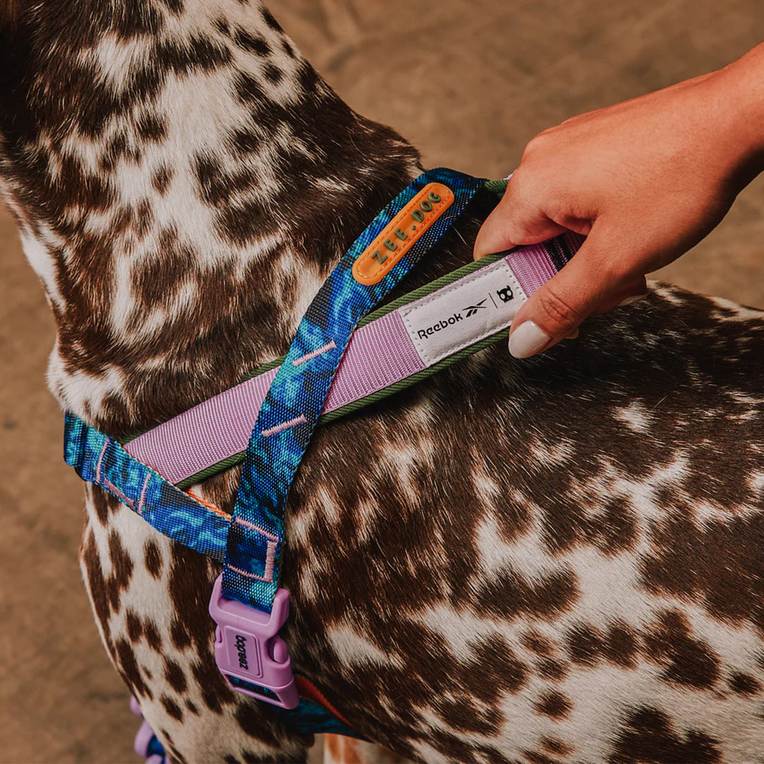 Reebok x Zee.Dog Trekk Softer Walk Dog Harness