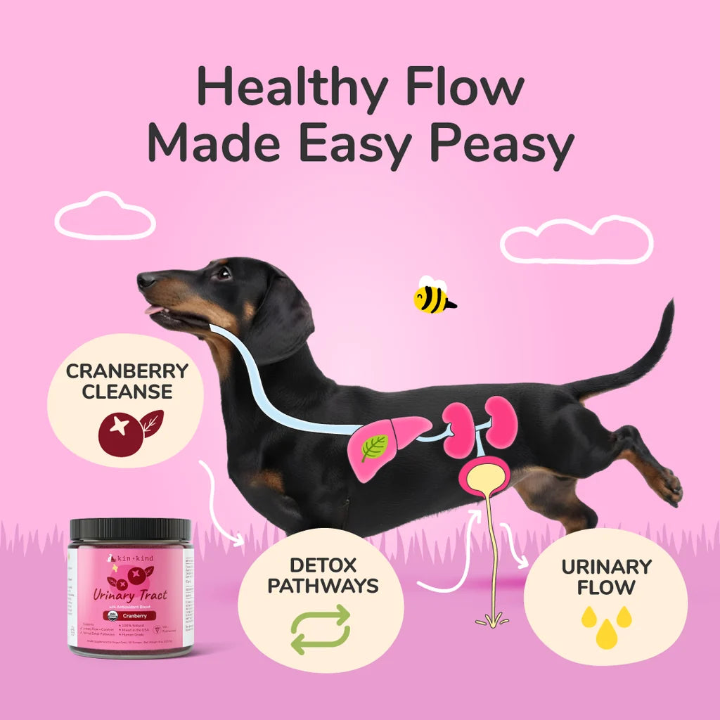 Organic Healthy Immunity & Urinary Tract Dog and Cat Supplement