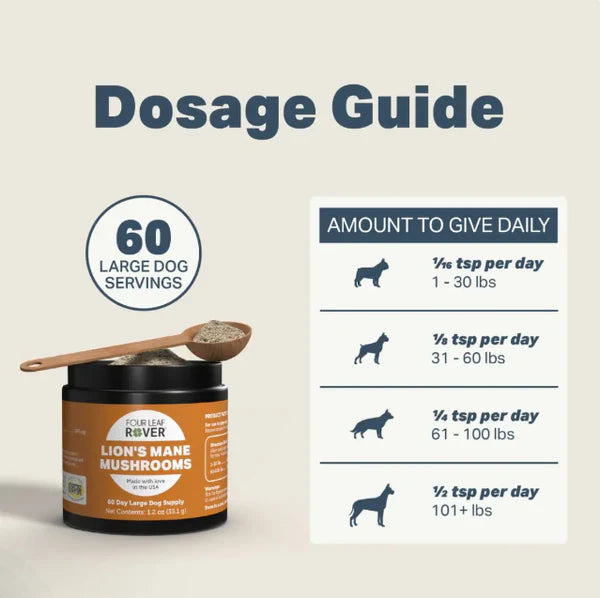 Four leaf rover lion’s mane mushroom dog supplement CreatureLand