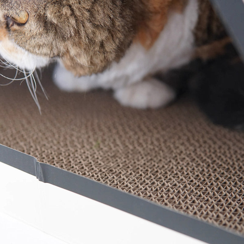 Little Chick House Scratcher