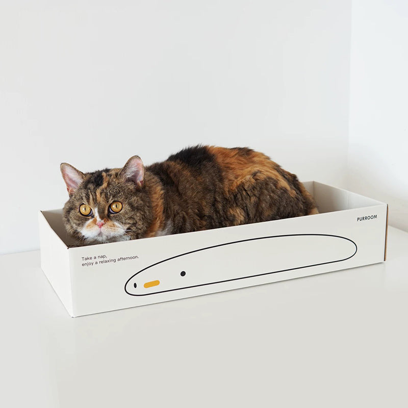 Little Chick Long Nap Scratcher