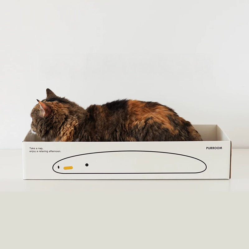 Little Chick Long Nap Scratcher