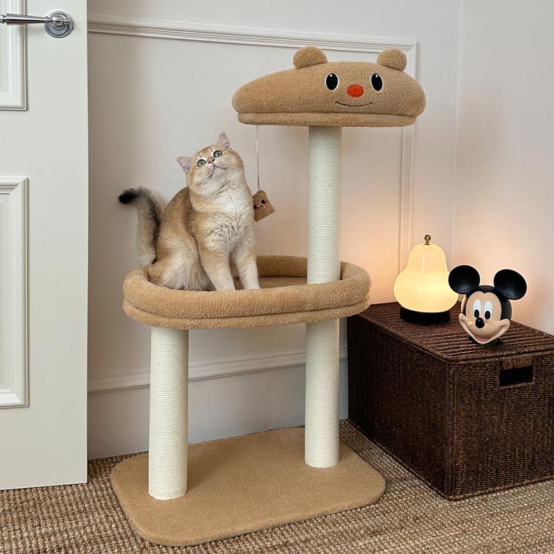 Toocat x Butterbear Cat Condo