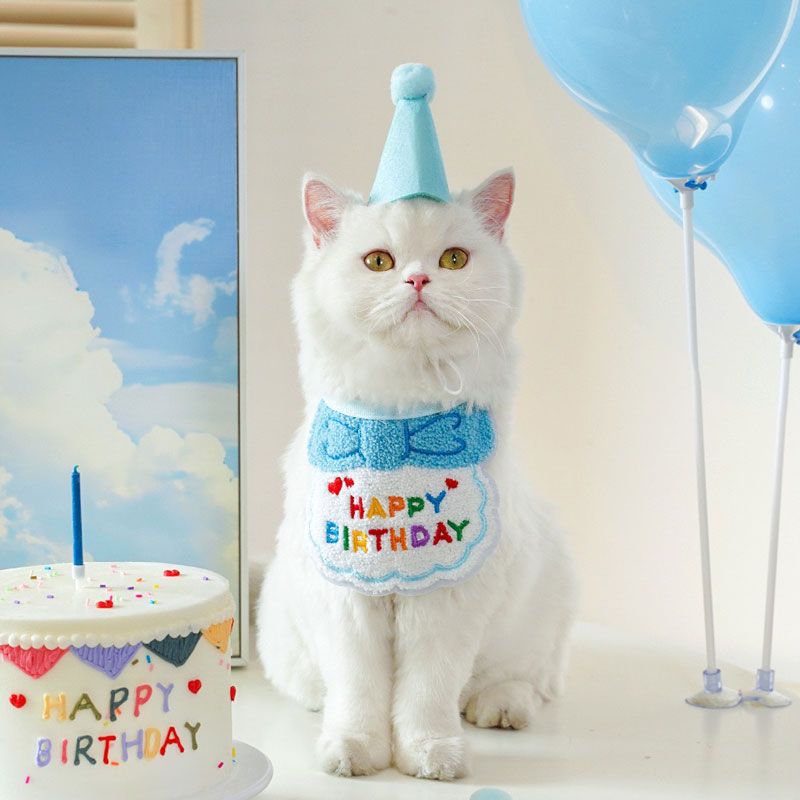 Birthday Party Hat & Bib Set (8 Colours)