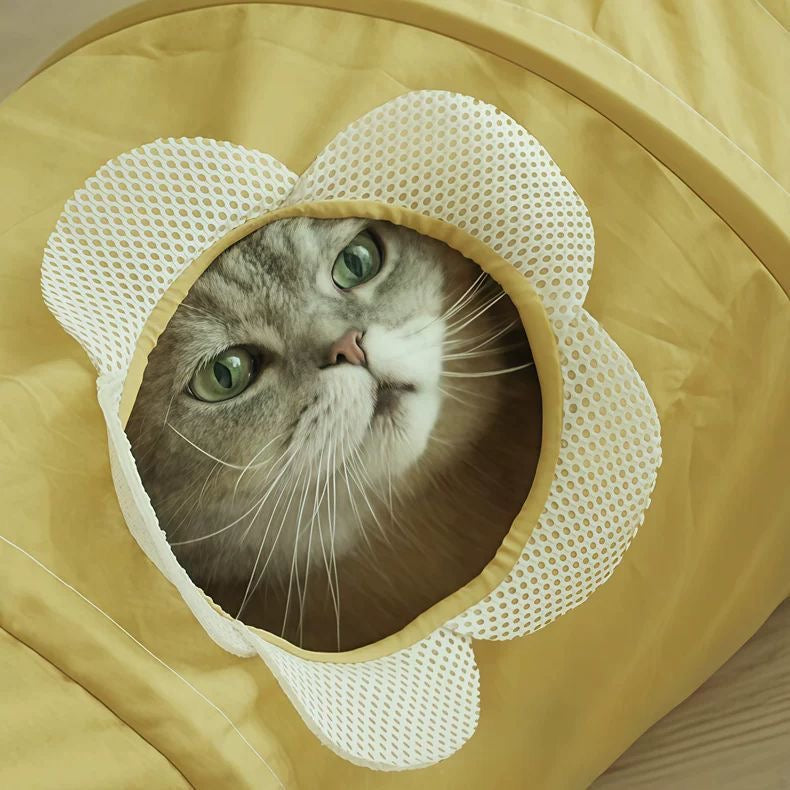 Bloom Swirl Cat Tunnel (2 Colours)