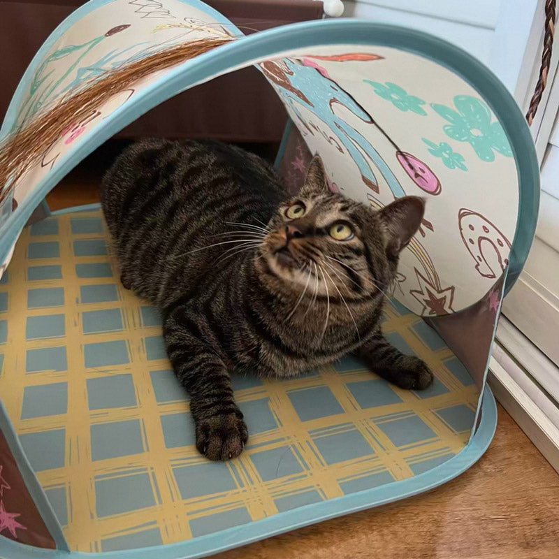 CUL - Peek-a-Boo Pop-Up Cat Tent - 17