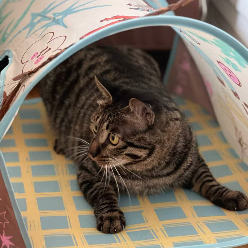 CUL - Peek-a-Boo Pop-Up Cat Tent - 15