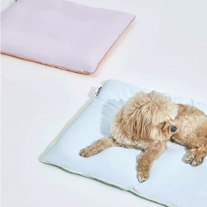 Macaron Cooling Cushion (2 Colours)