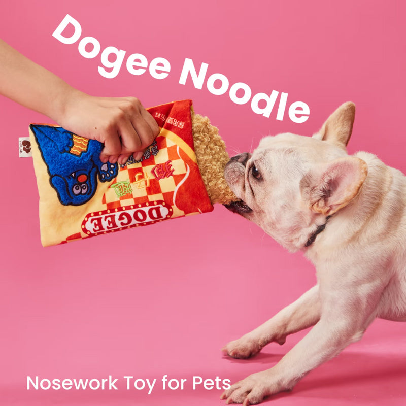 Dogee Noodle Nosework Toy