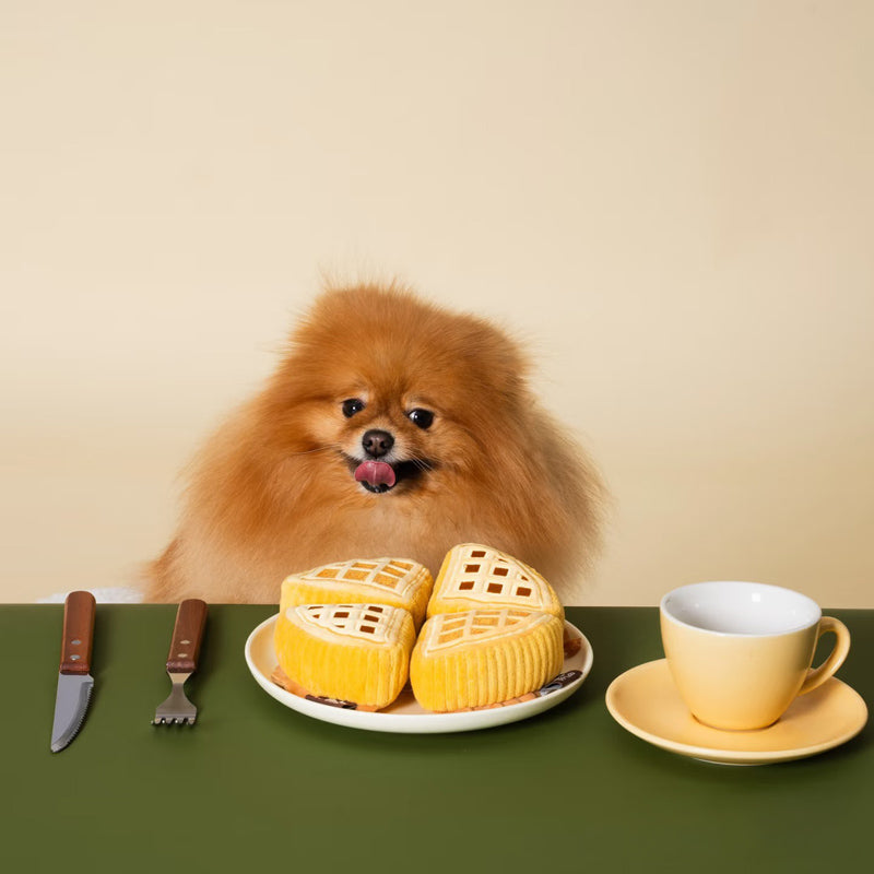 Waffle Nosework Toy