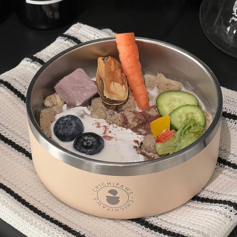 Sip & Snack Stainless Steel Pet Bowl (4 Colours)