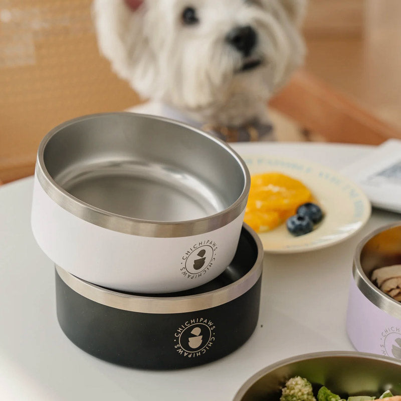 Sip & Snack Stainless Steel Pet Bowl (4 Colours)