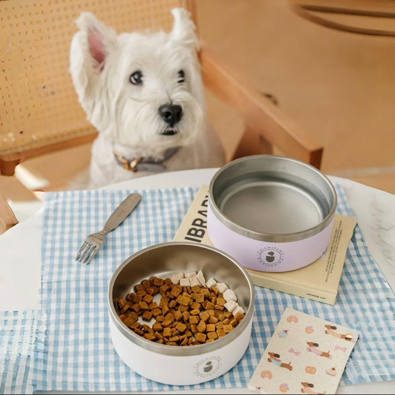 Sip & Snack Stainless Steel Pet Bowl (4 Colours)