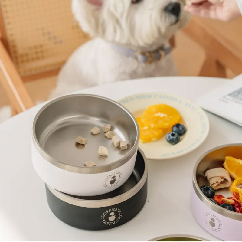 Sip & Snack Stainless Steel Pet Bowl (4 Colours)