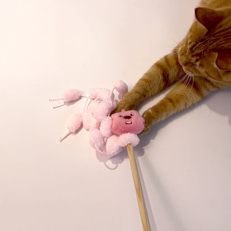 Zanmang Loopy Cat Teaser (2 Designs)