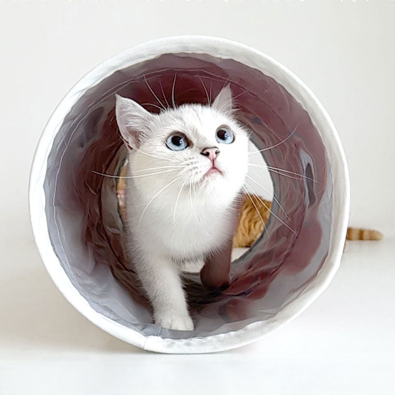 Koinobori Cat Tunnel (2 Pieces)