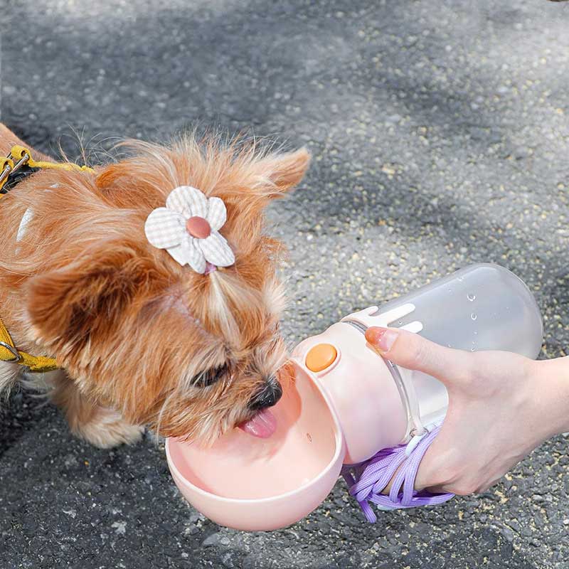 WanderSip Dog Water Bottle