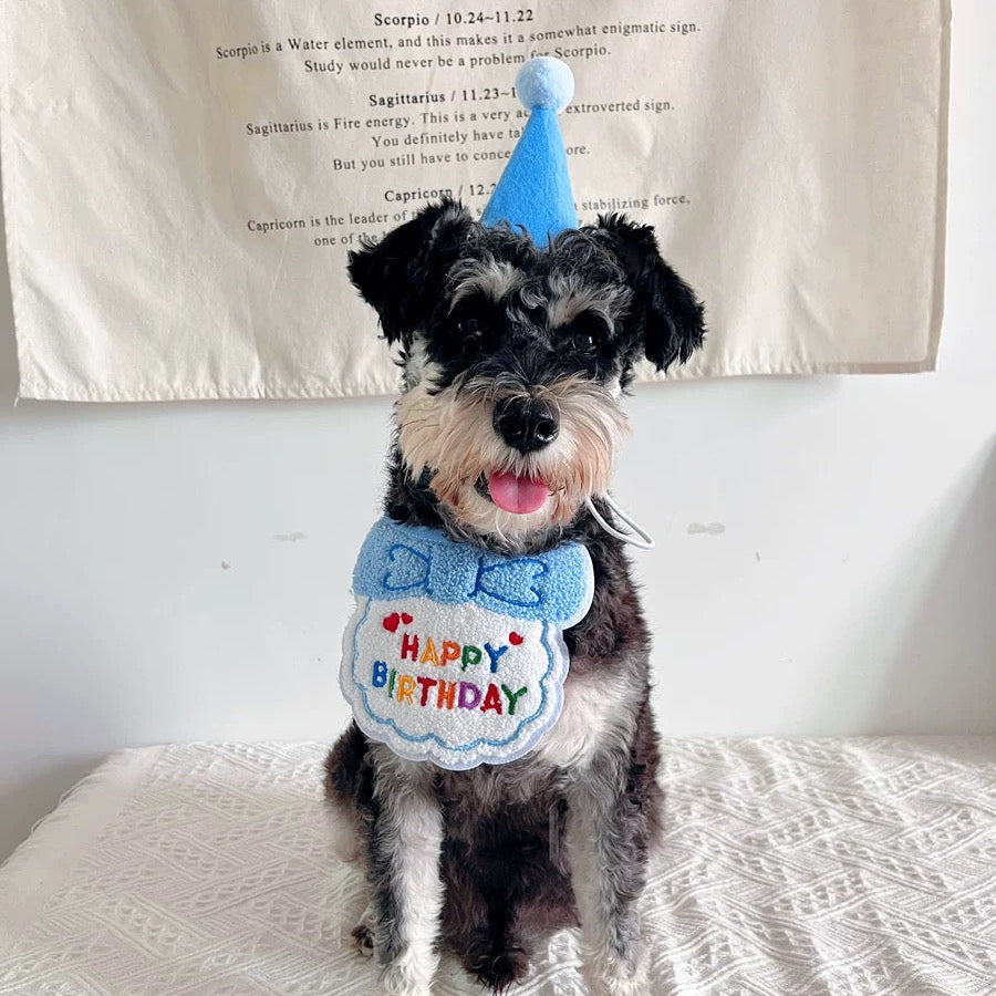Birthday Party Hat & Bib Set (8 Colours)