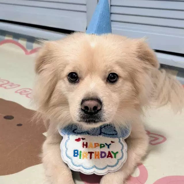 Birthday Party Hat & Bib Set (8 Colours)