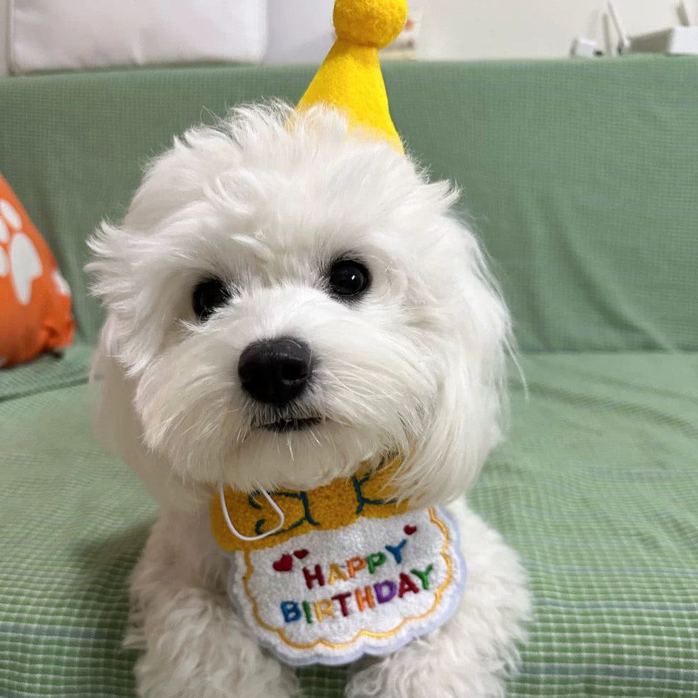 Birthday Party Hat & Bib Set (8 Colours)