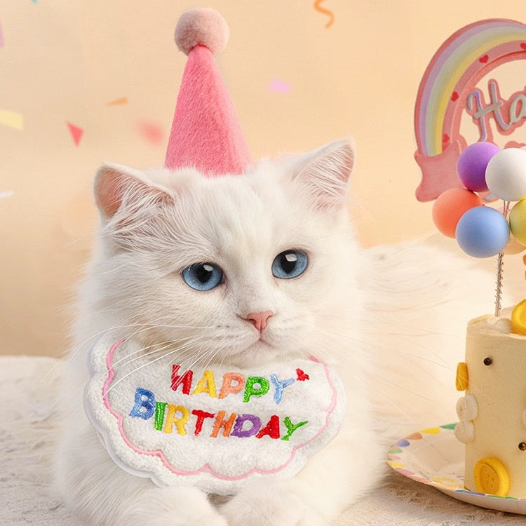 Birthday Party Hat & Bib Set (8 Colours)