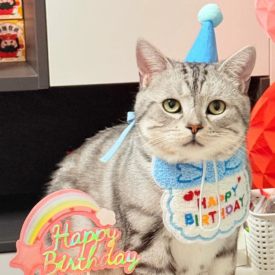 Birthday Party Hat & Bib Set (8 Colours)