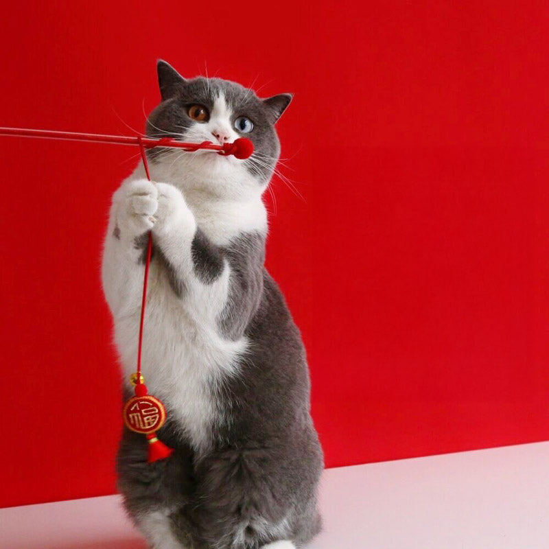 Prosperity Cat Teaser