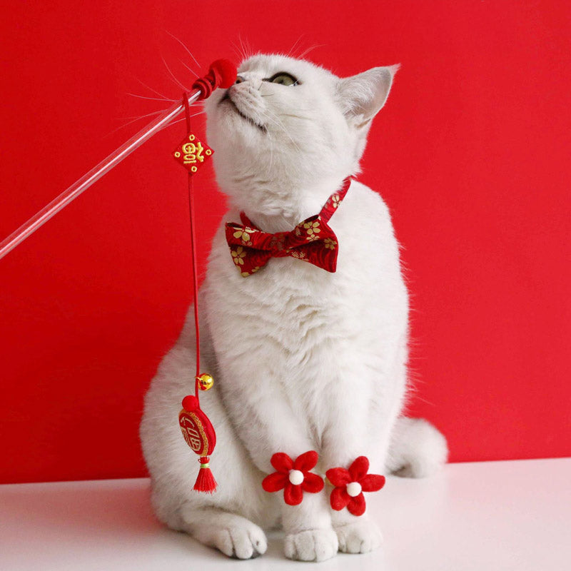 Prosperity Cat Teaser