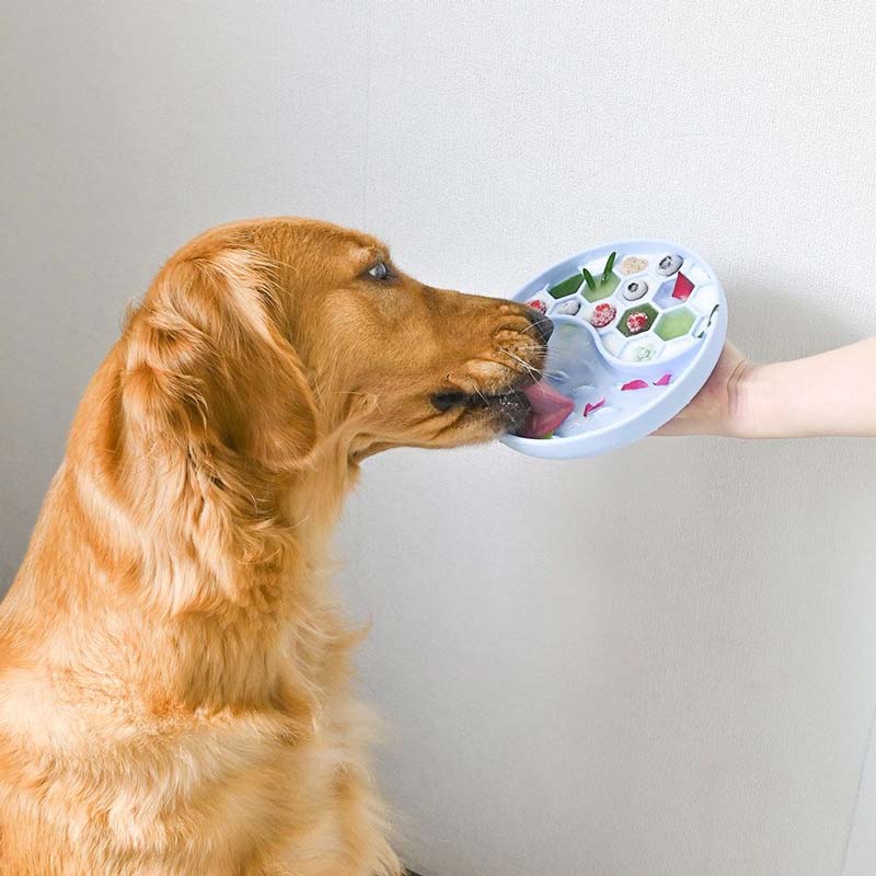 Yin-Yum Slow Feeder (4 Colours)